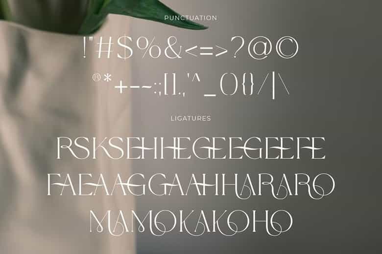 Wolmer Font Image 3