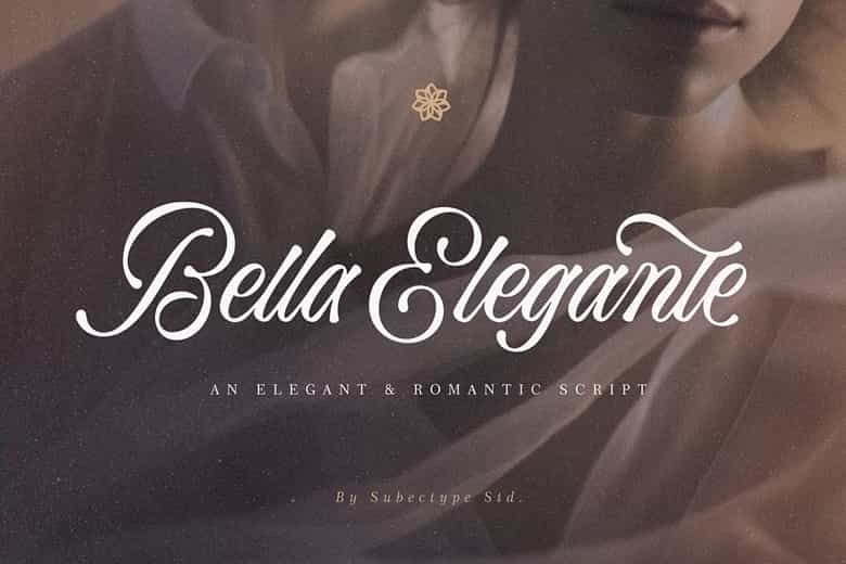 Bella Elegante Font Image 1