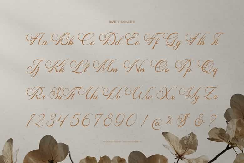 Mamylinus Font Image 3