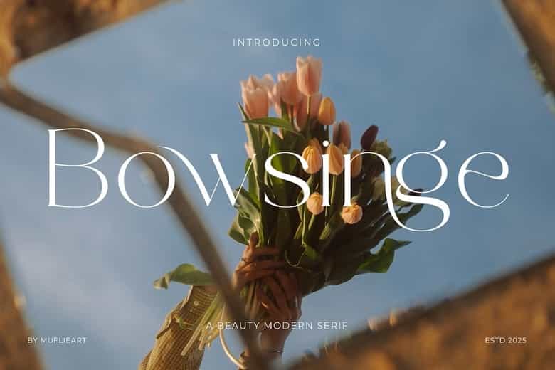 Bowsinge Font Image 1