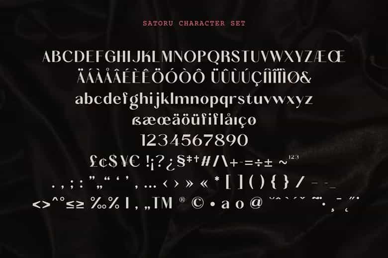 Satoru Font Image 3