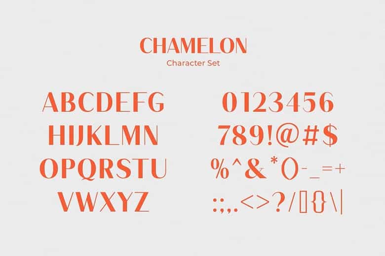 Chamelon Font Image 3