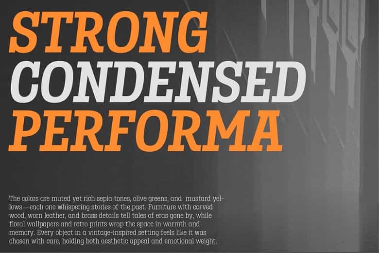 Birdwood Font Family Image 2