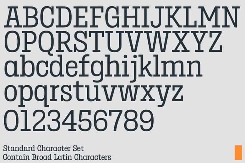 Birdwood Font Family Image 3