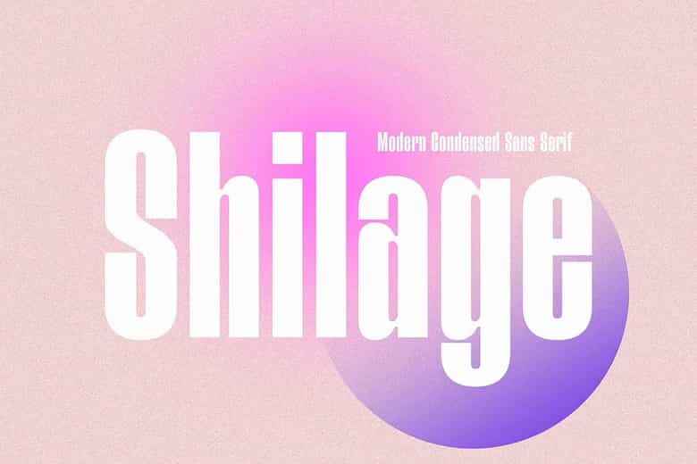 Shilage Font Image 1