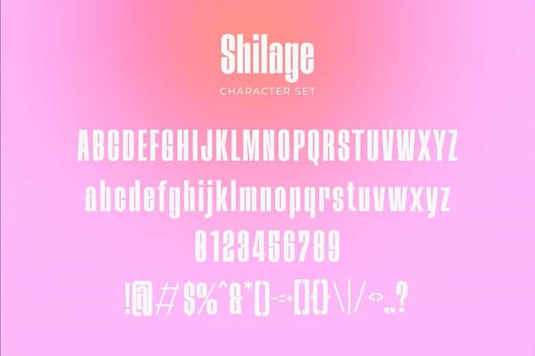 Shilage Font Image 3