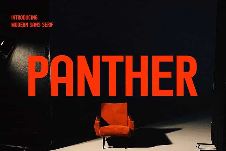 Panther Sans Font Image 1