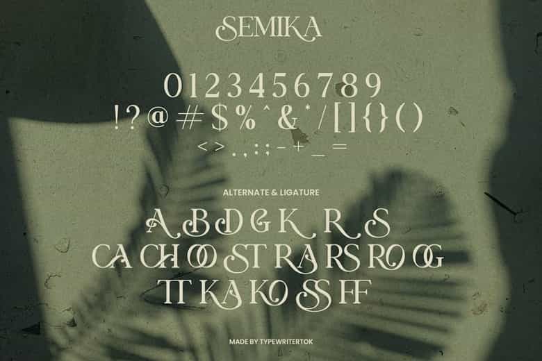Semika Font Image 3