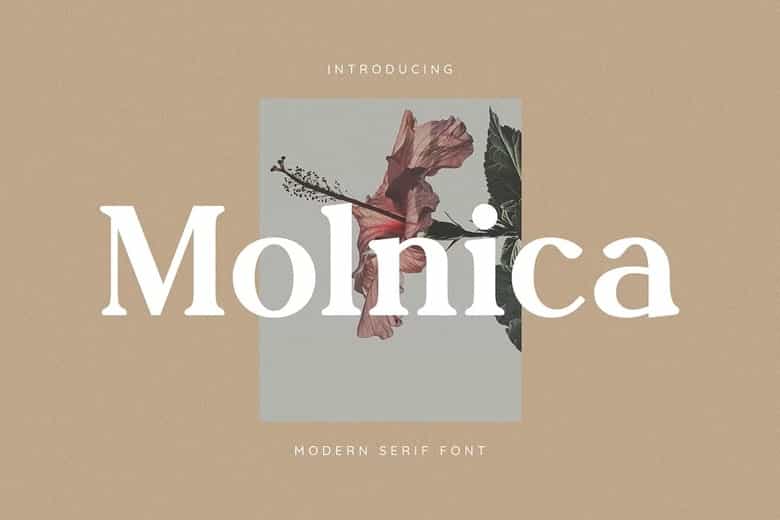 Molnica Font Image 4