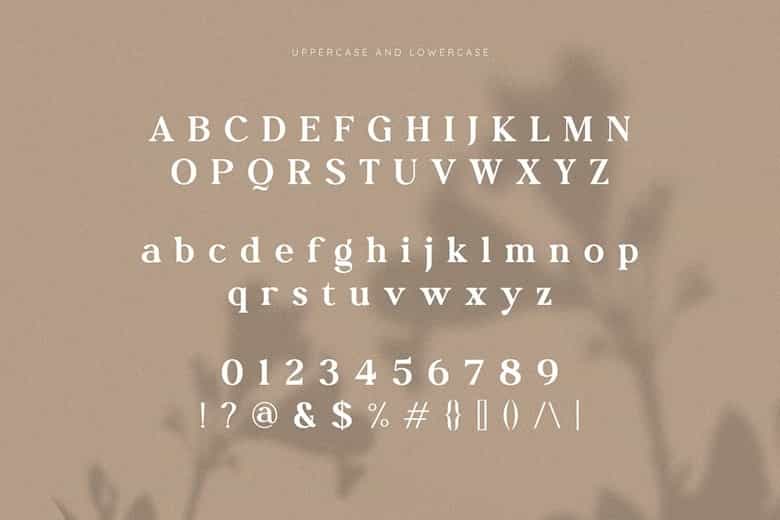 Molnica Font Image 6