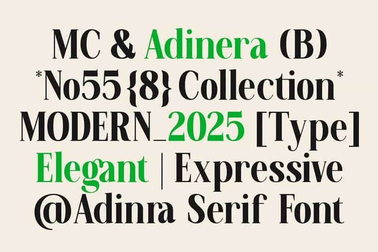 Adinera Font Image 3