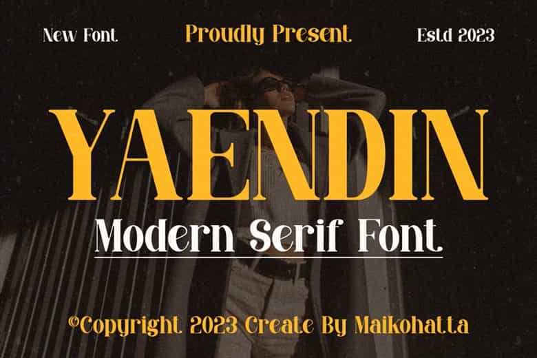Yaendin Font Image 1