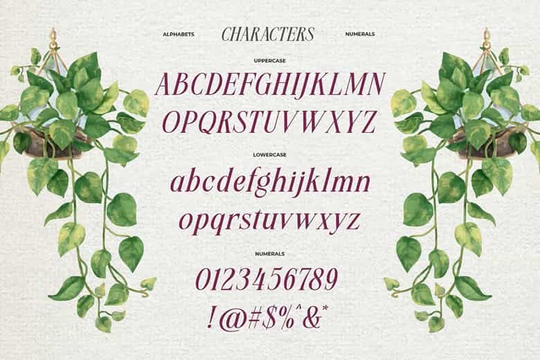 Meillona Font Image 3
