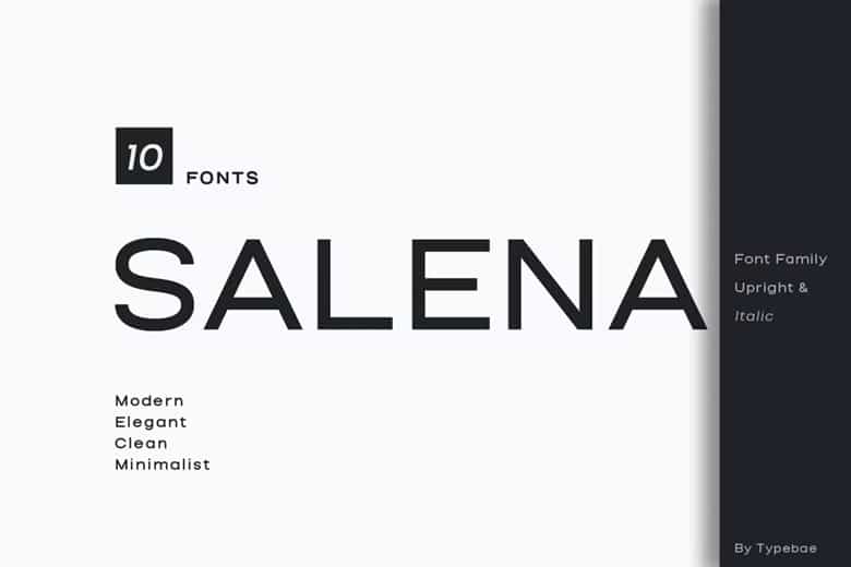 Salena Font Image 1