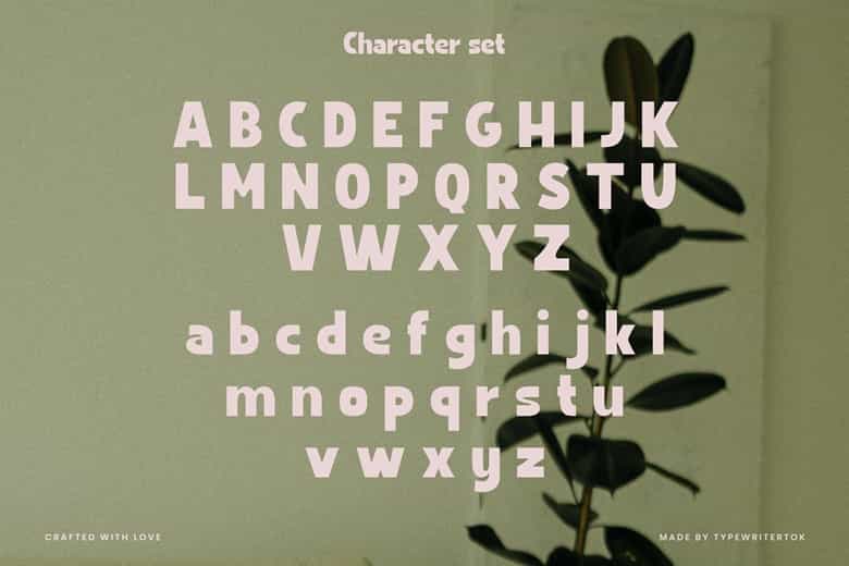Vanzi Font Image 2