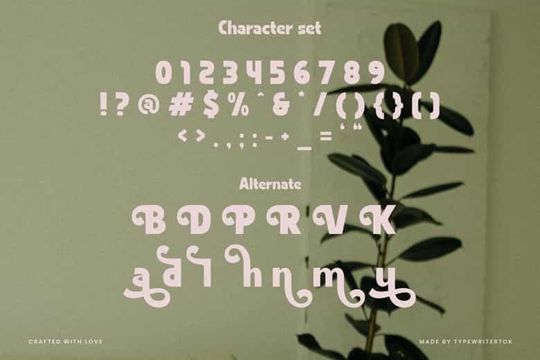 Vanzi Font Image 3