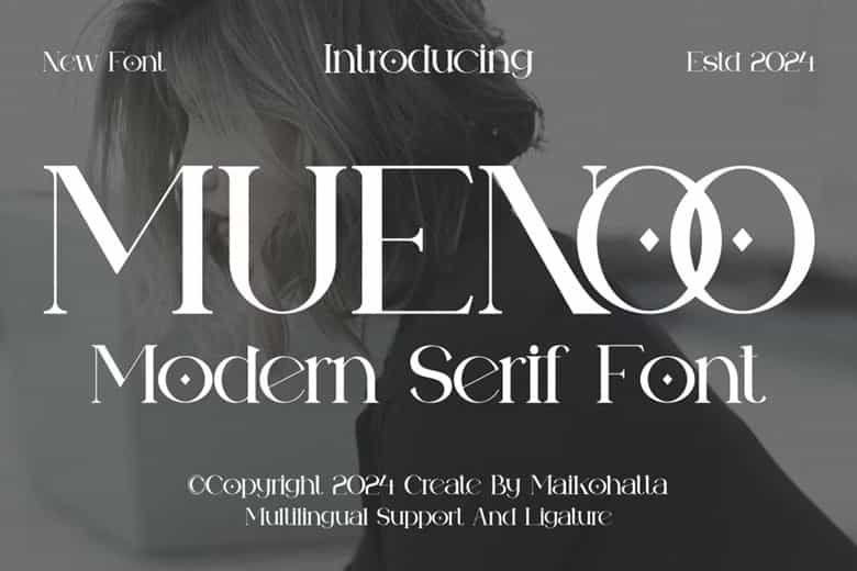 Muenoo Font Image 1