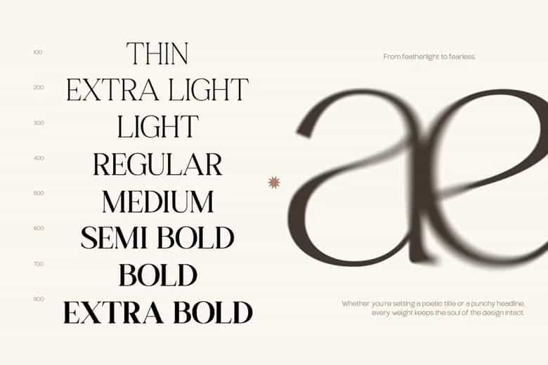 TT Gateral Font Family Image 2