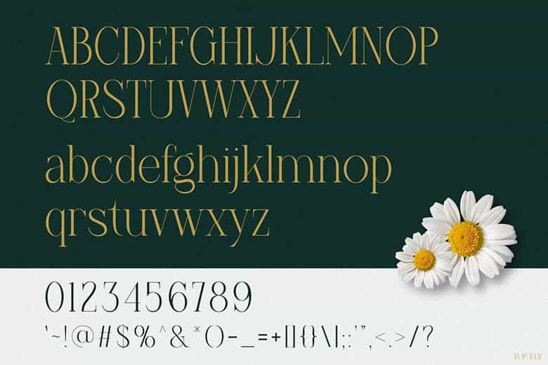 Populer Font Image 3