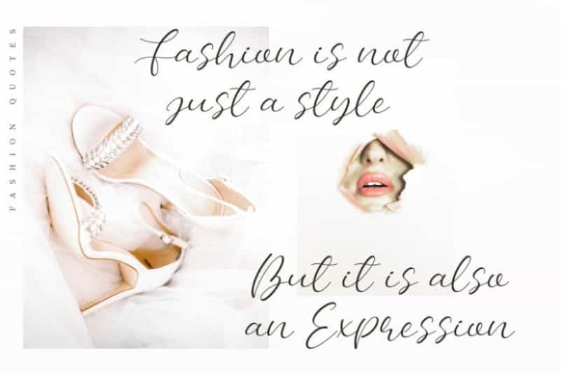Bellany Modern Script Font Image 3