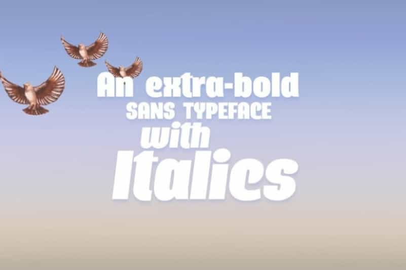 Querino Sans Serif Font Image 2