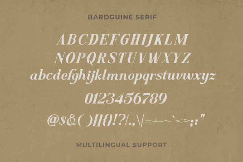 Bardguine Font Duo Image 11