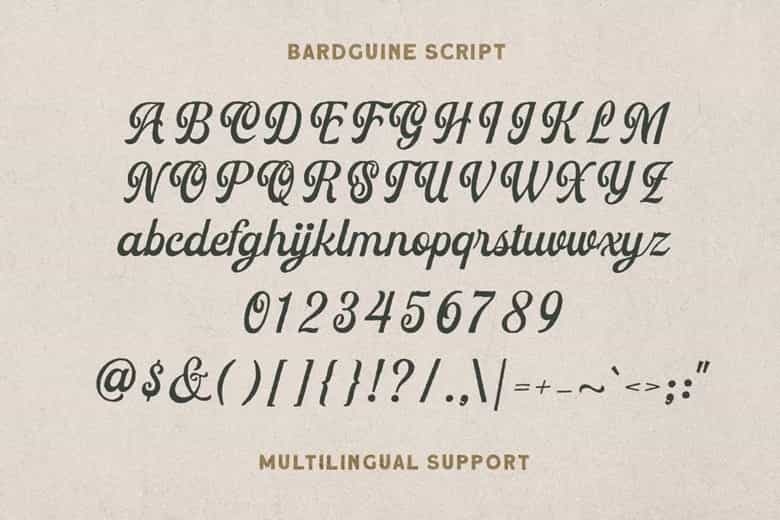 Bardguine Font Duo Image 18