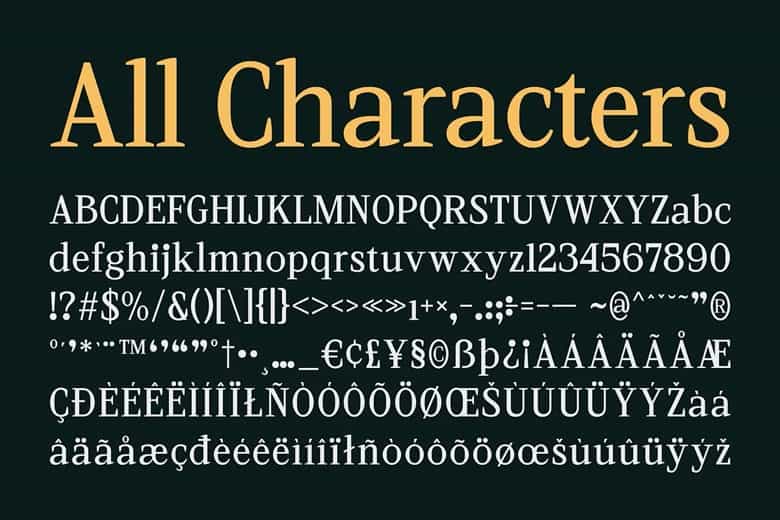 CS Vincero Font Image 21