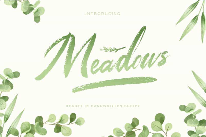 Meadows Script Font Image 1
