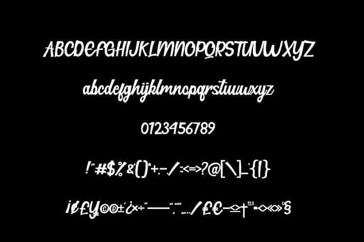 Hillton Modern Script Font Image 3