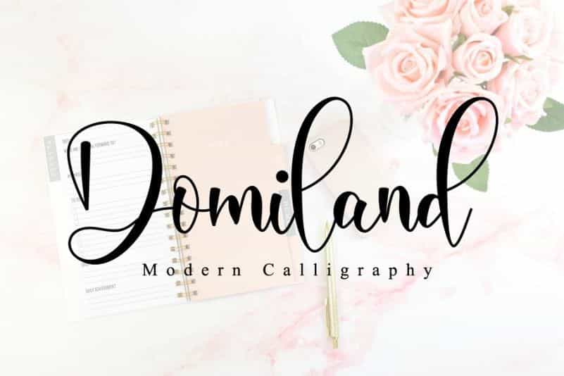 Domiland Script Font Image 1