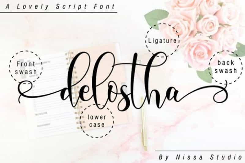 Domiland Script Font Image 2