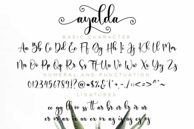 Ayalda Calligraphy Font Image 3