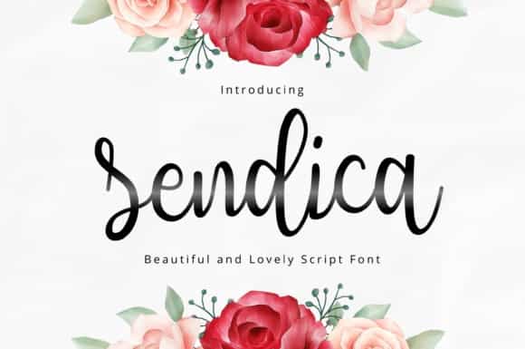 Sendica Font Image 1