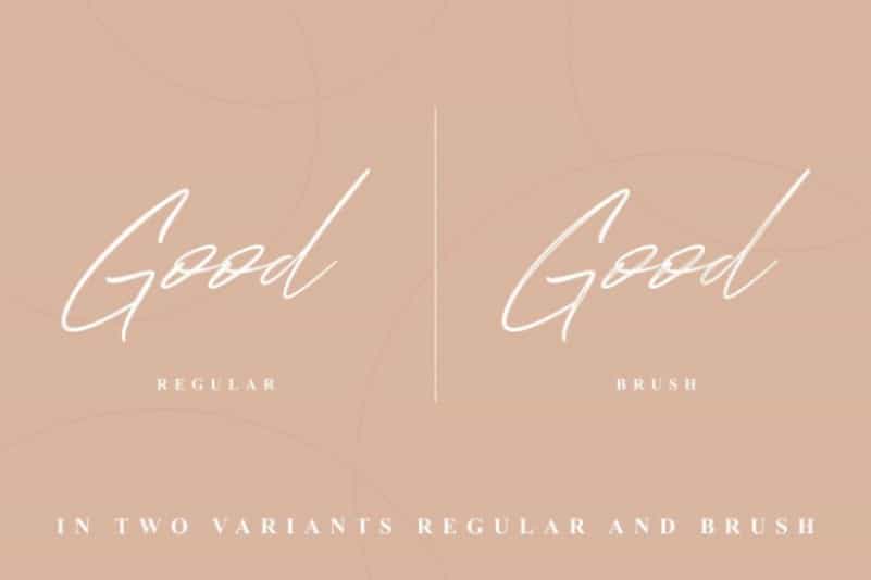Jillfester Brush Font Image 2