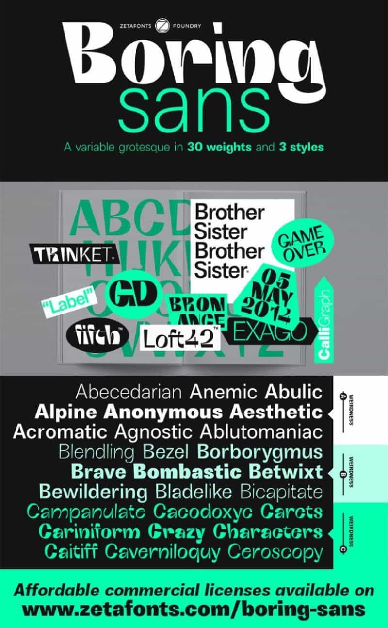Boring Sans Serif Font Family Image 1