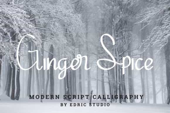 Ginger Spice Font Image 1