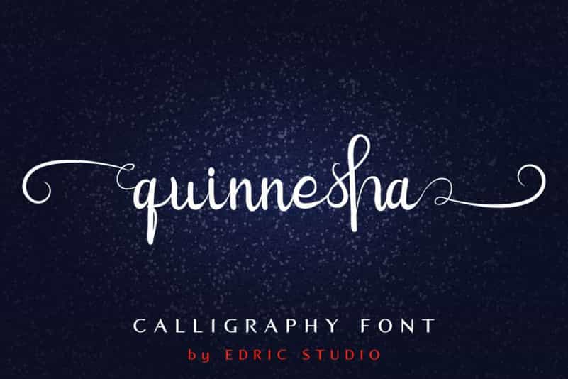 Quinnesha Script Font Image 1