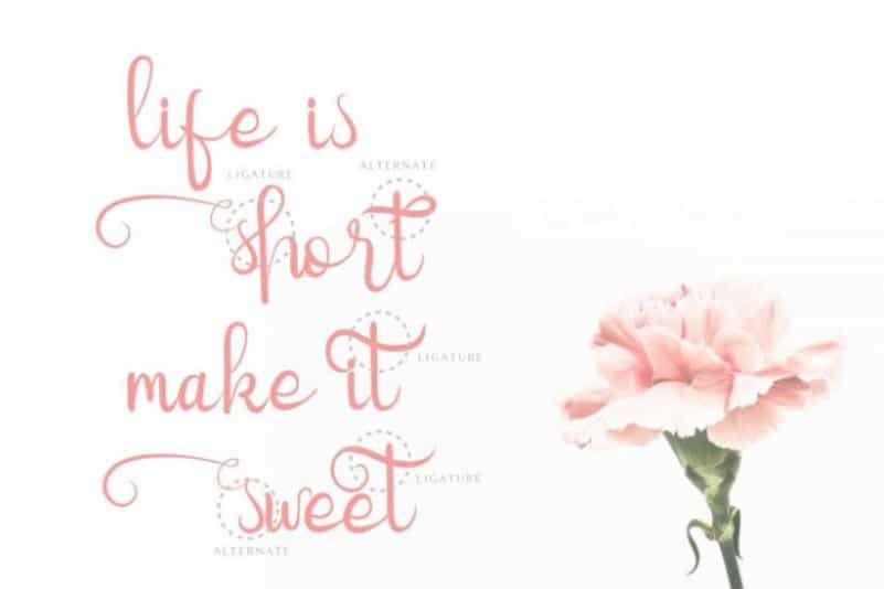 Quinnesha Script Font Image 2