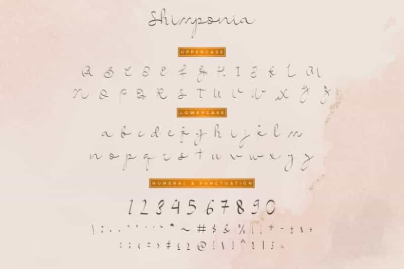 Shimponia Calligraphy Font Image 3