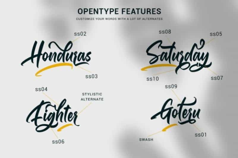 Gallardo Script Font Image 2