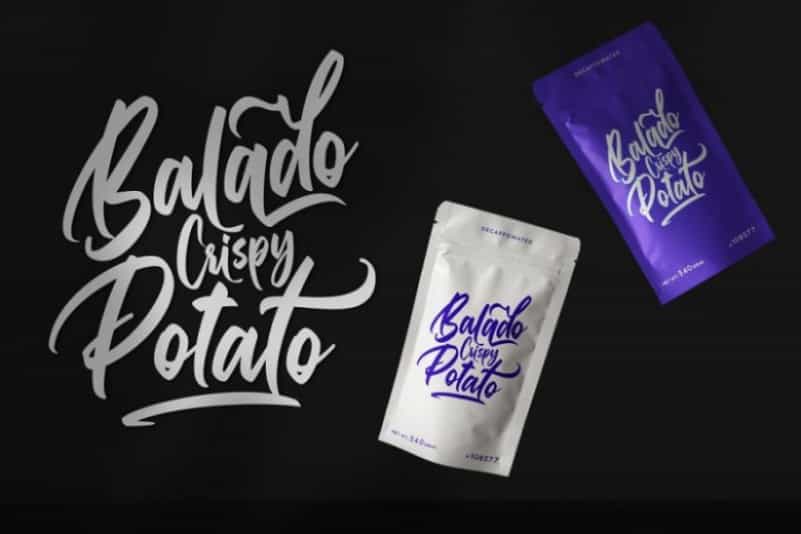 Gallardo Script Font Image 3