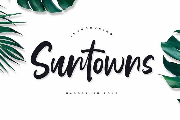 Suntowns Script Font Image 1