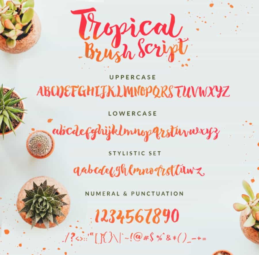 Tropical Brush Font Free Image 2