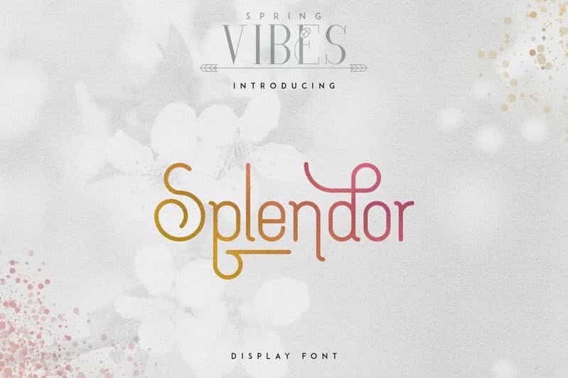 Splendor Display Font Image 1