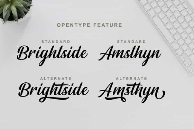 Rightland Modern Bold Script Image 2