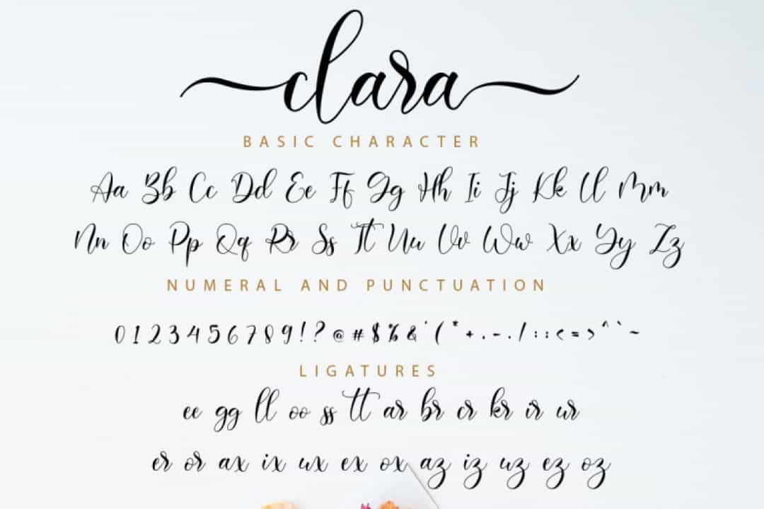 Clara Font Image 3