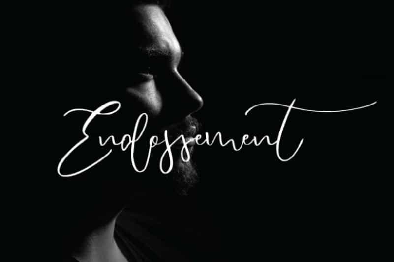 Endossement Calligraphy Font Image 2