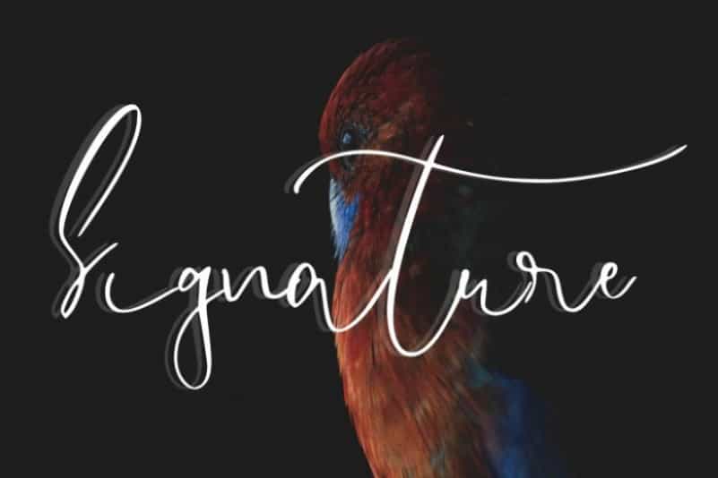 Endossement Calligraphy Font Image 3