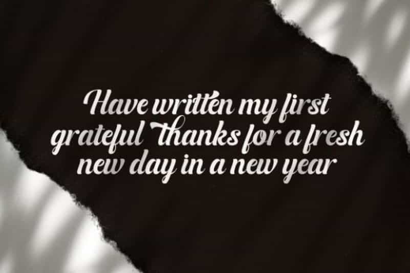 Bufally Calligraphy Font Image 3